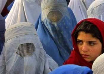  Afghanistan : les talibans bannissent les livres écrits par des femmes des universités