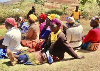 Kenya : les femmes toujours marginalisées dans la vie politique malgré la Constitution