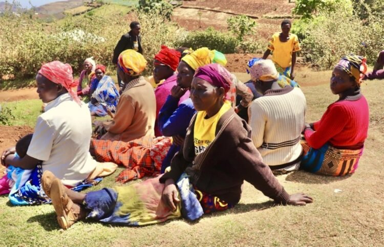 Kenya : les femmes toujours marginalisées dans la vie politique malgré la Constitution