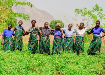 COP30 | Justice climatique et égalité de genre : UN Women exige un plan d’action ambitieux