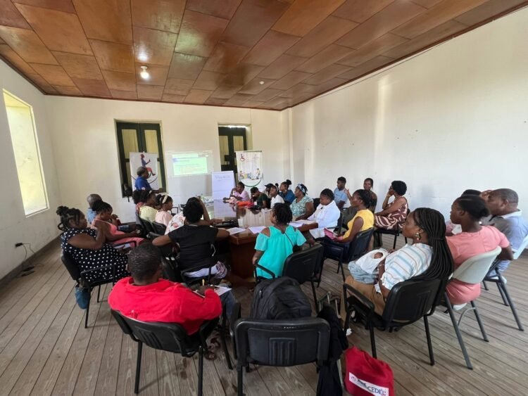 Changement climatique : des femmes handicapées formées à Jacmel pour mieux faire face aux catastrophes
