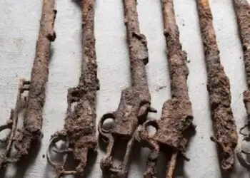 Grande-Rivière-du-Nord : des armes anciennes exhumées sur un chantier, des expertises attendues